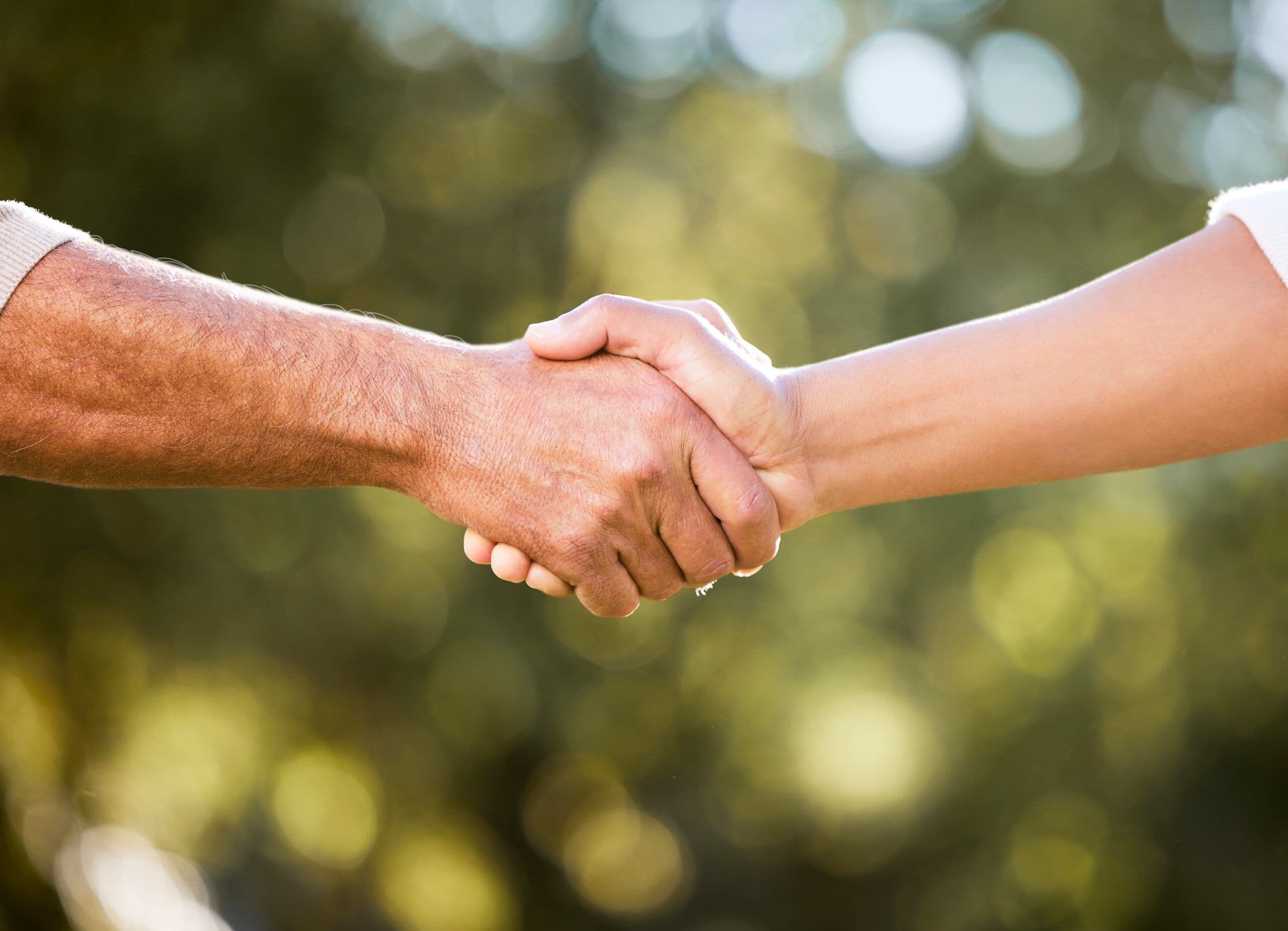 The Art of Disagreeing Better