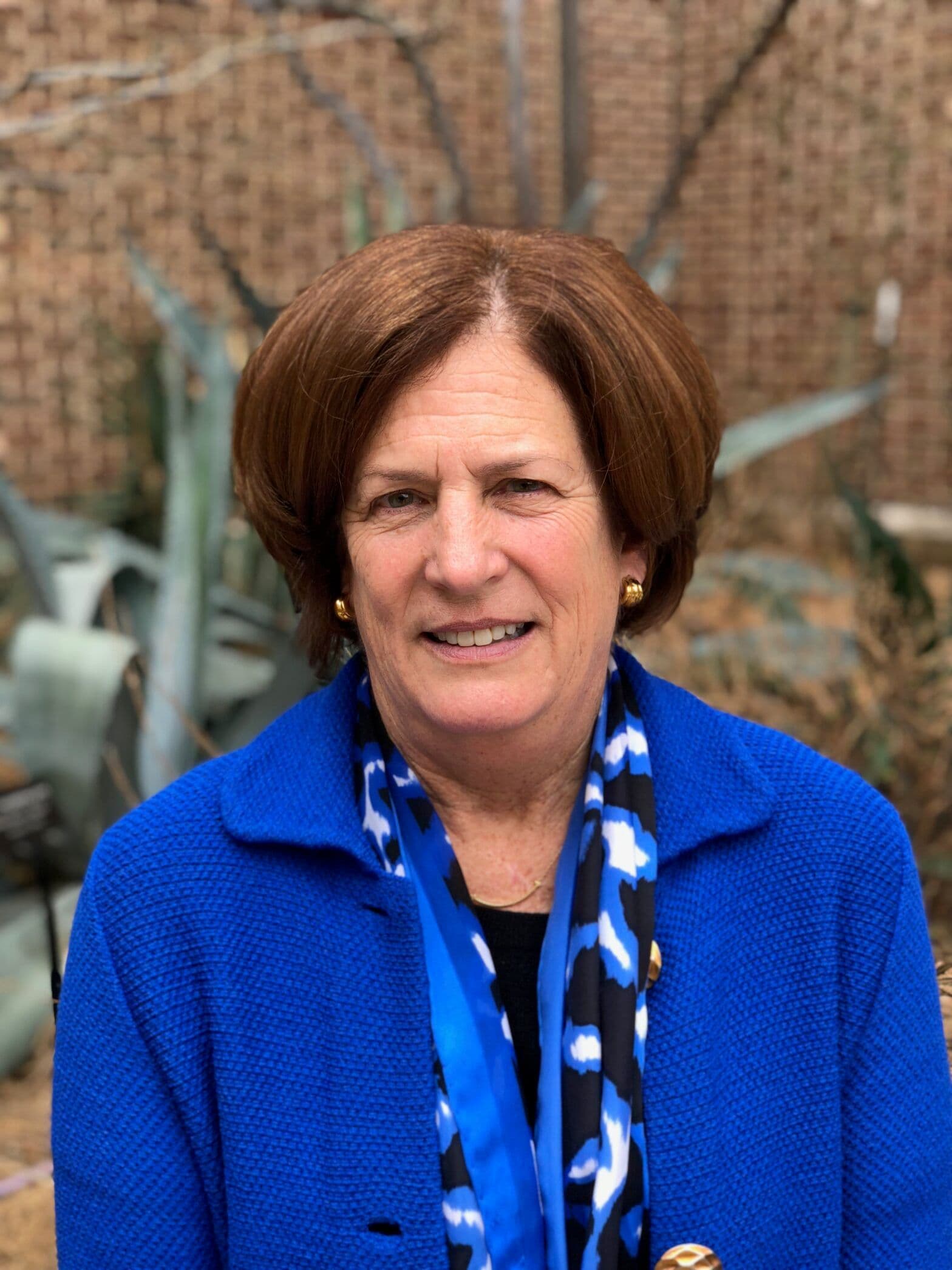 Ann Clark headshot