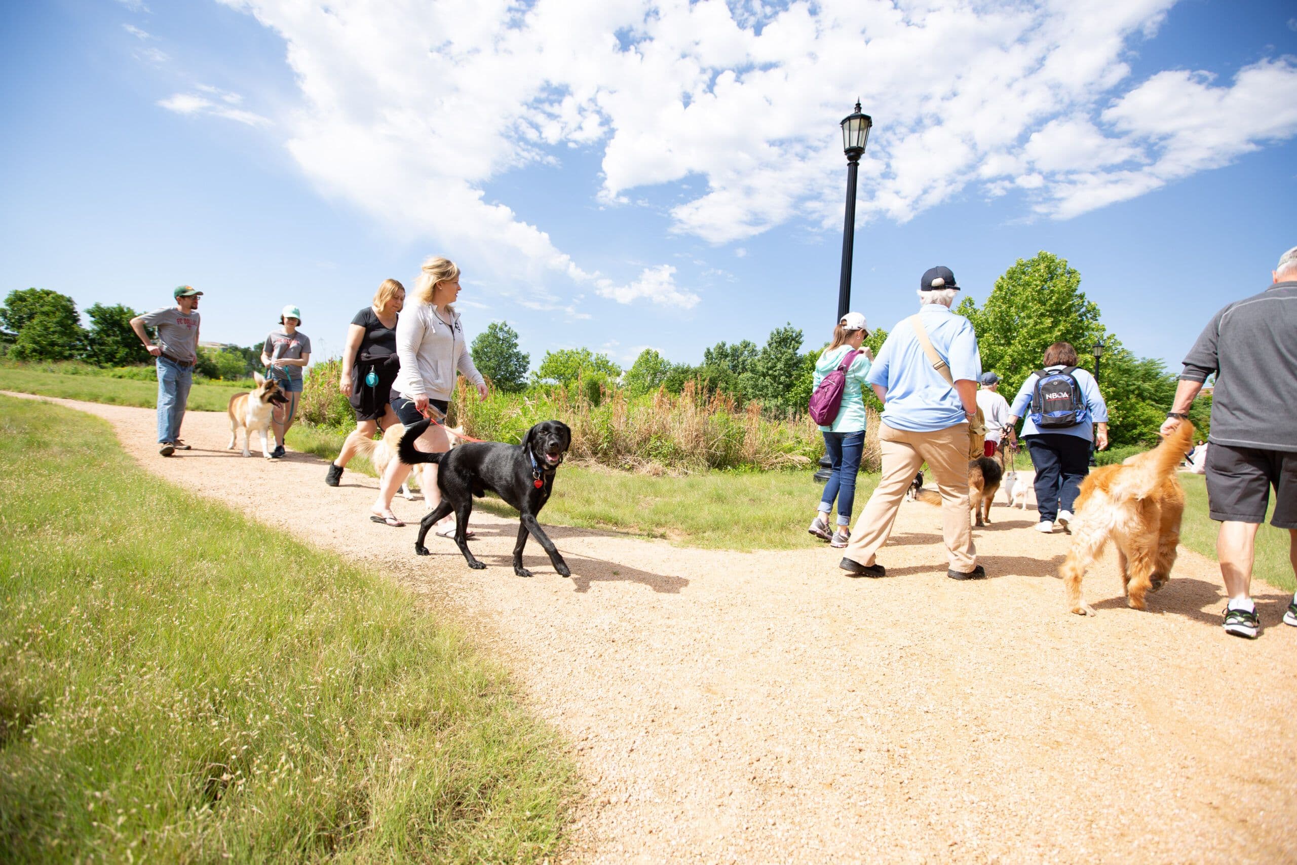 Pups in the Park 2021