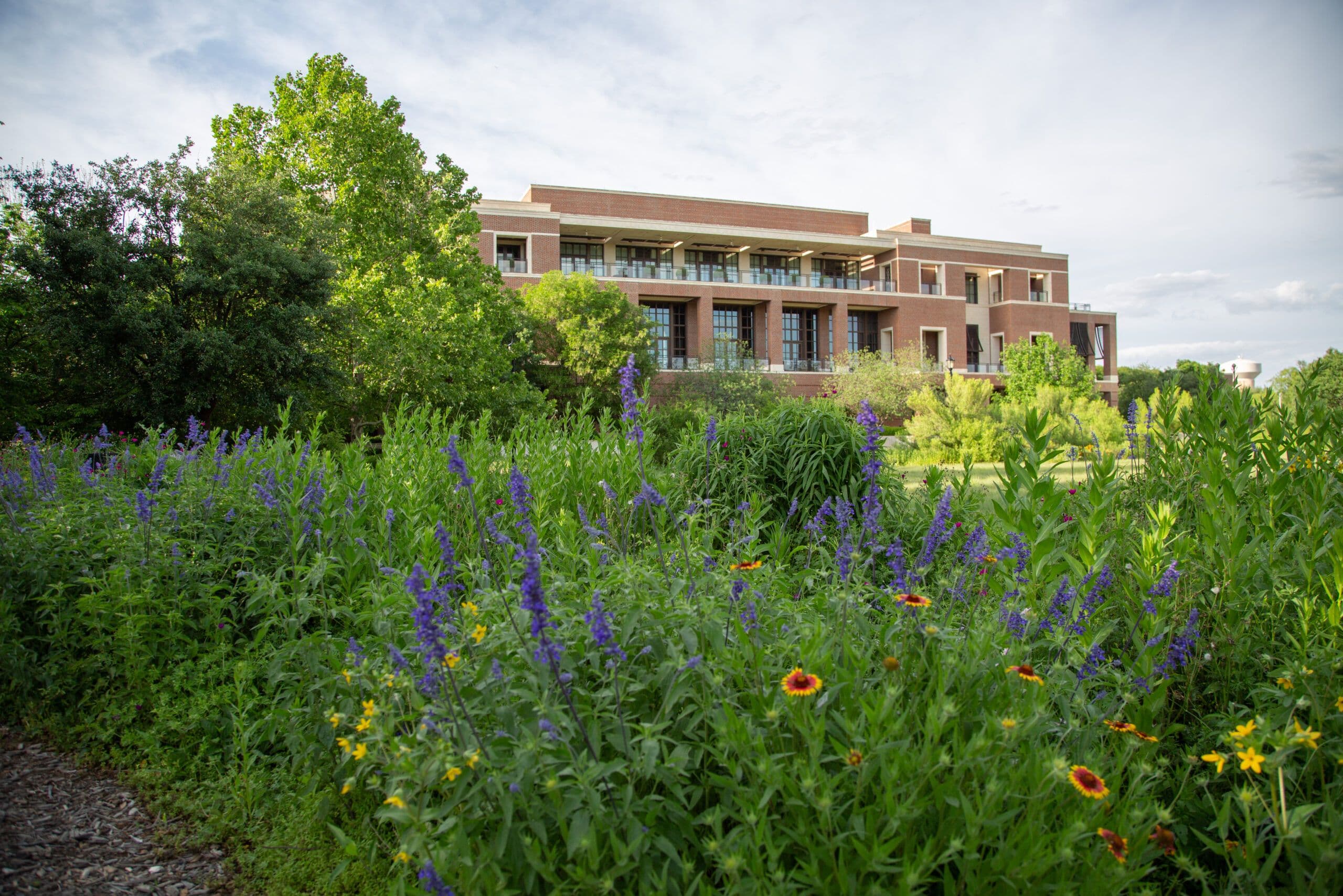 Spring Guided Tours of the Laura W. Bush Native Texas Park