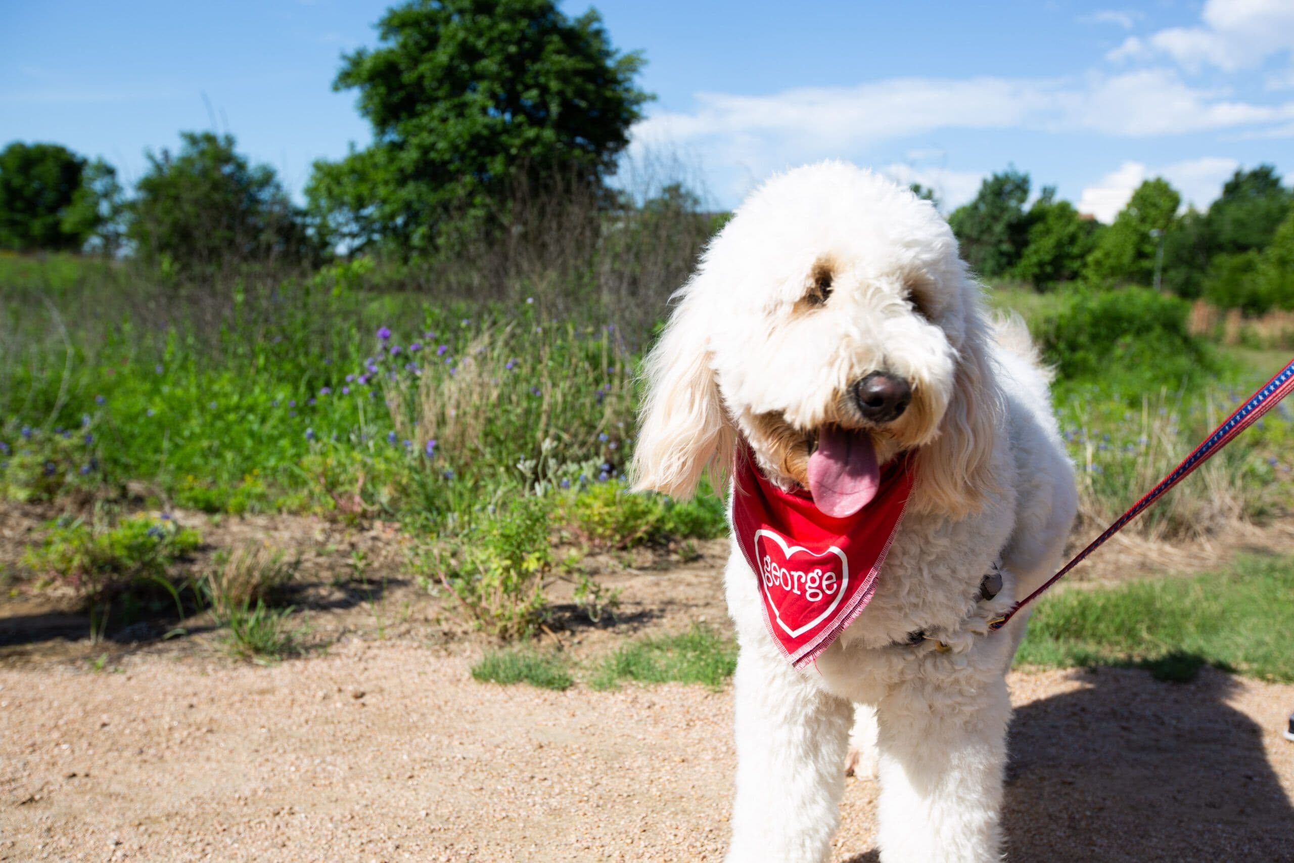Tails on the Trail